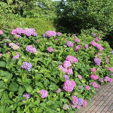B&B Huize Cossee Gasselte Zewnętrze zdjęcie